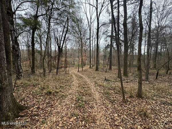 25 Acres of Recreational Land & Farm for Sale in Smithdale, Mississippi