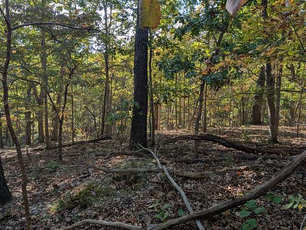 4.7 Acres of Agricultural Land for Sale in Sunrise Beach, Missouri