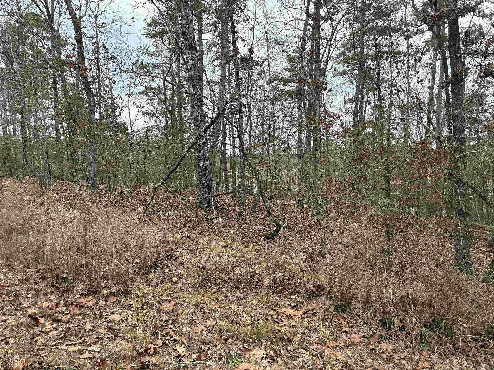 0.35 Acres of Residential Land for Sale in Hot Springs Village, Arkansas