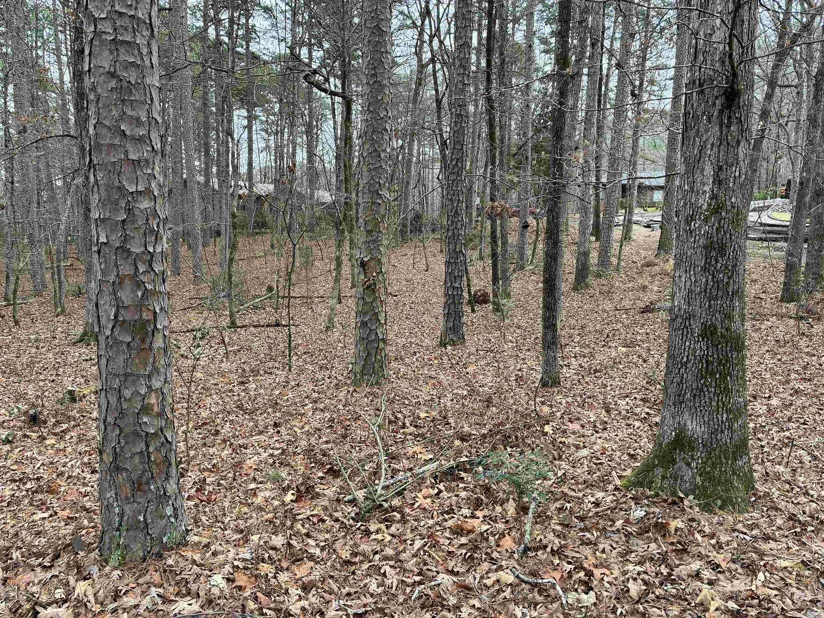 0.37 Acres of Residential Land for Sale in Hot Springs Village, Arkansas