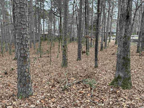 0.37 Acres of Residential Land for Sale in Hot Springs Village, Arkansas
