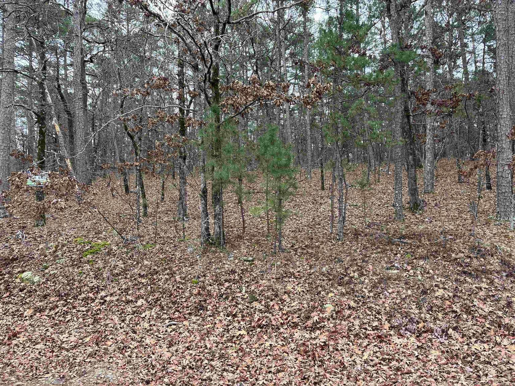 0.22 Acres of Residential Land for Sale in Hot Springs Village, Arkansas