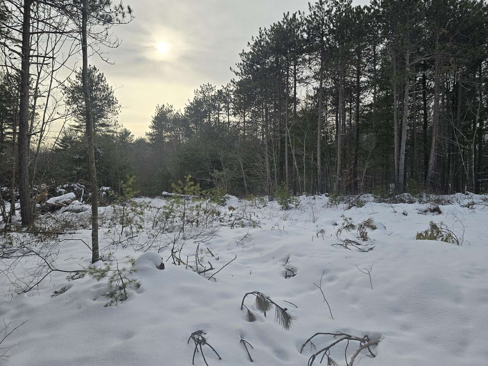 3.15 Acres of Residential Land for Sale in Phippsburg, Maine