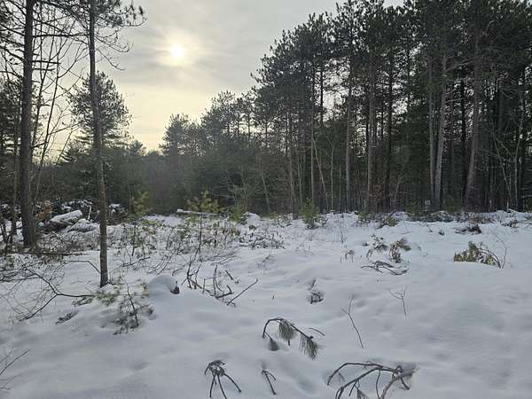 3.15 Acres of Residential Land for Sale in Phippsburg, Maine