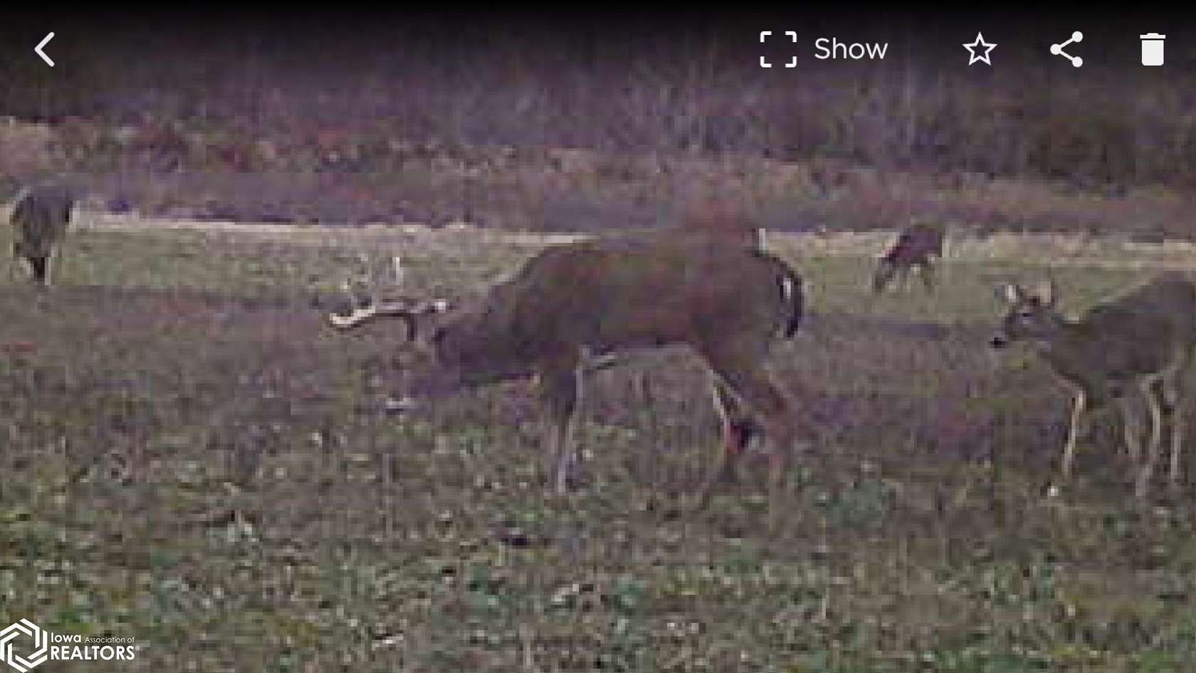 67.2 Acres of Recreational Land for Sale in Cantril, Iowa