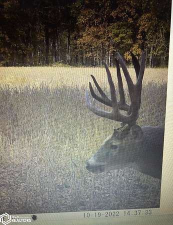 118 Acres of Recreational Land for Sale in Cantril, Iowa