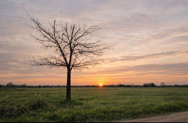 7.45 Acres of Residential Land for Sale in Pattonville, Texas