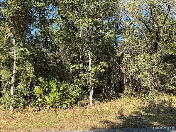0.75 Acres of Residential Land for Sale in Inverness, Florida