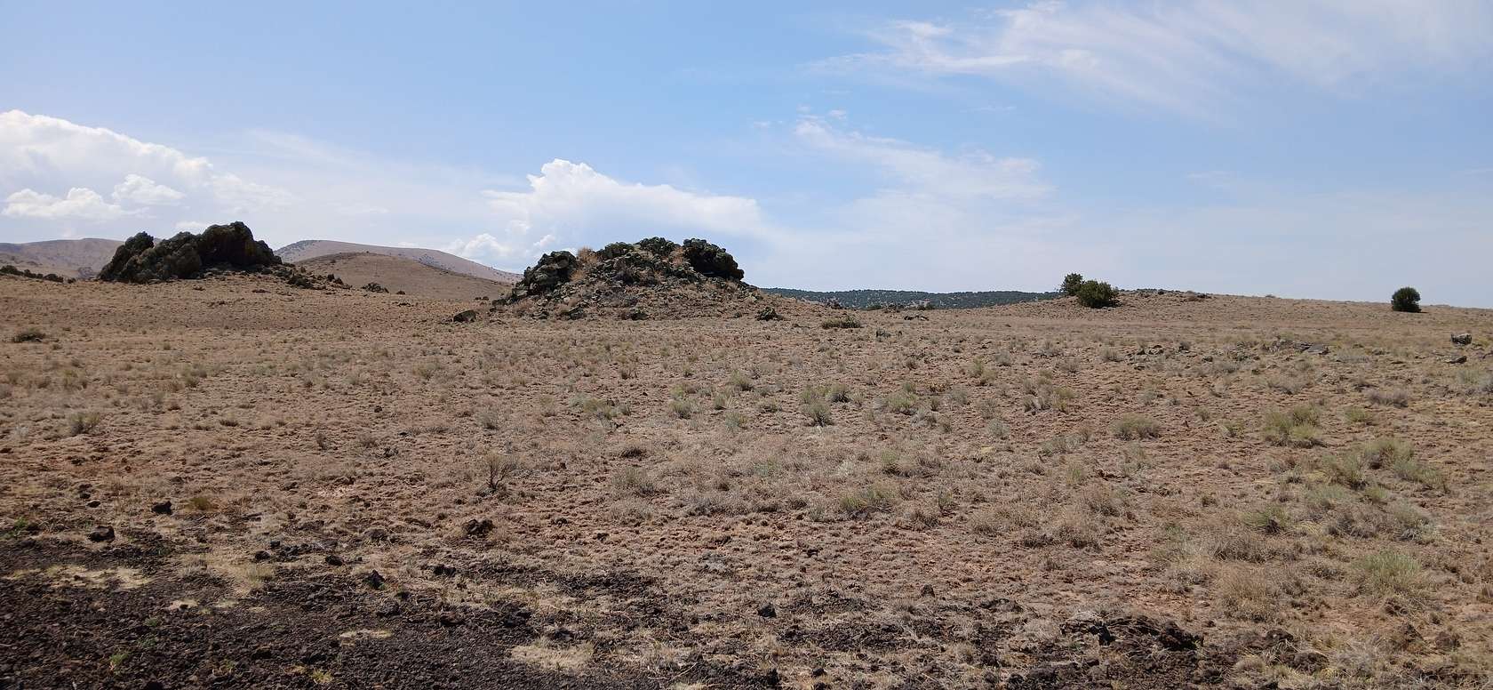 1 Acre of Residential Land for Sale in Concho, Arizona
