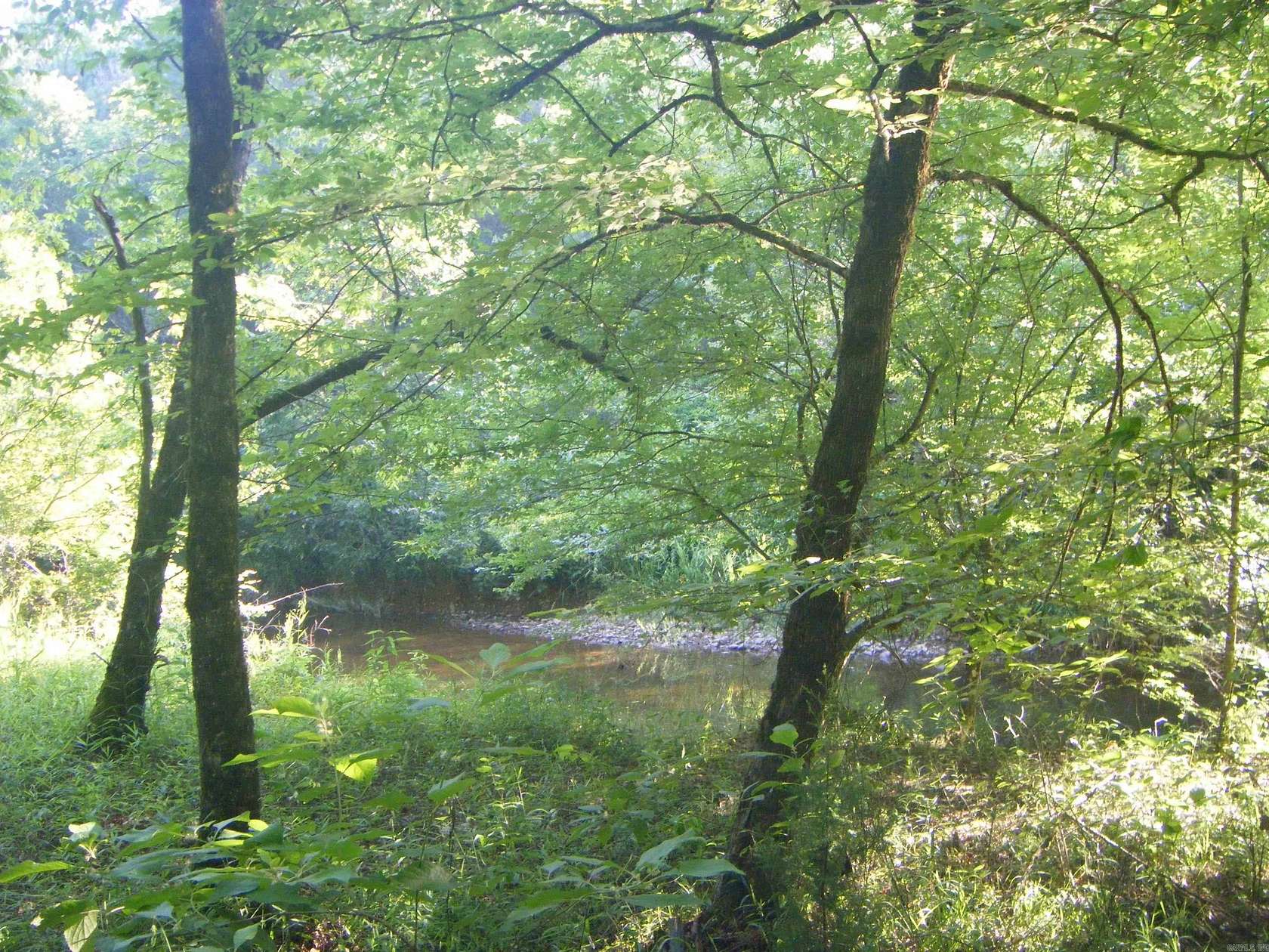 15.8 Acres of Recreational & Residential Land for Sale in Arkadelphia, Arkansas