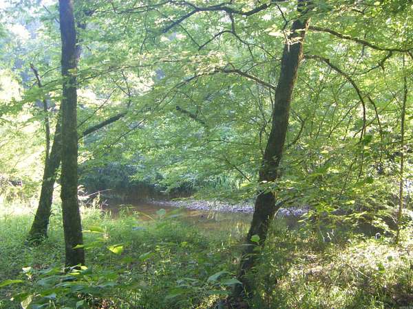 15.8 Acres of Recreational Land for Sale in Arkadelphia, Arkansas