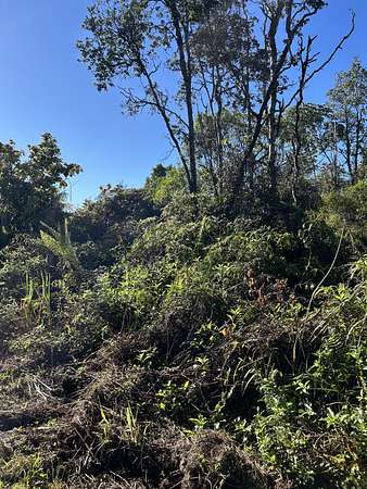 1 Acre of Land for Sale in Keaau, Hawaii
