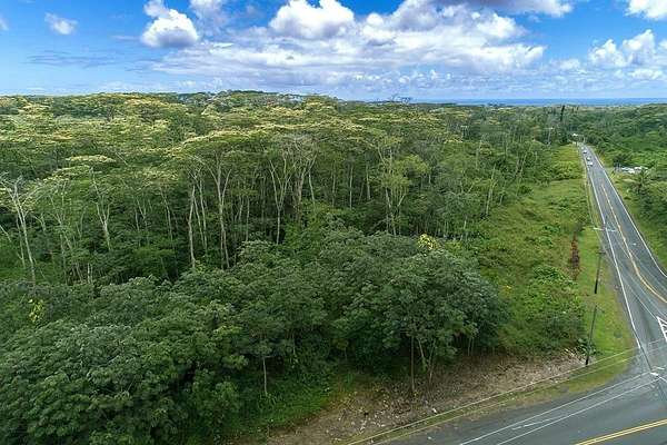 46.1 Acres of Agricultural Land for Sale in Pahoa, Hawaii