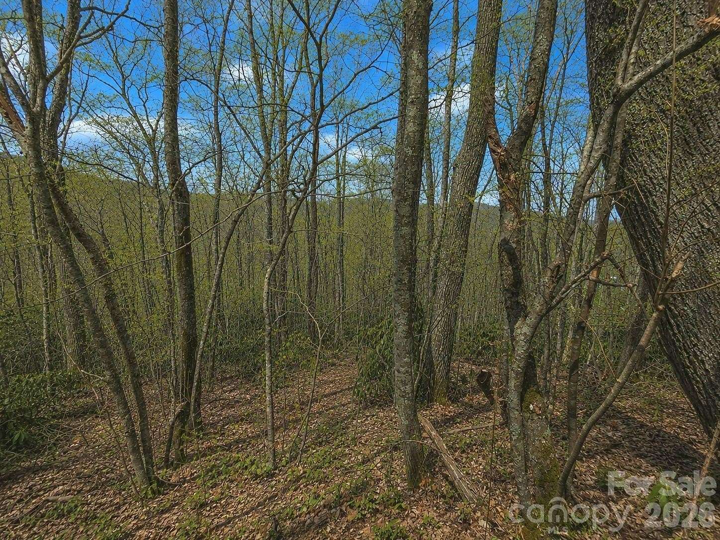 2.14 Acres of Residential Land for Sale in Maggie Valley, North Carolina