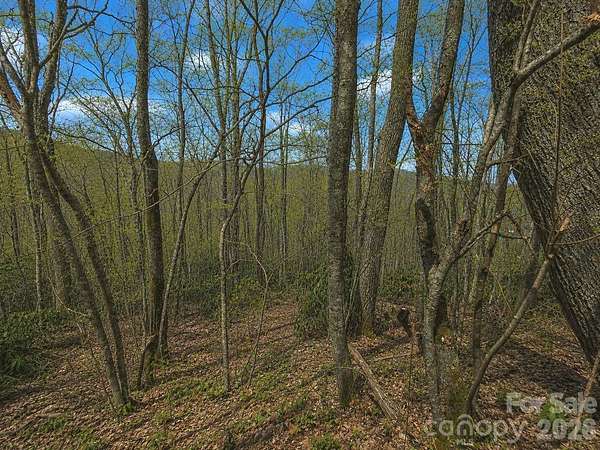 2.14 Acres of Residential Land for Sale in Maggie Valley, North Carolina