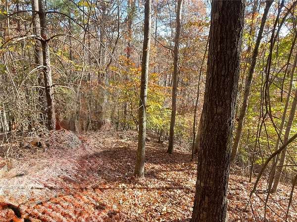 1.5 Acres of Residential Land for Sale in Dahlonega, Georgia