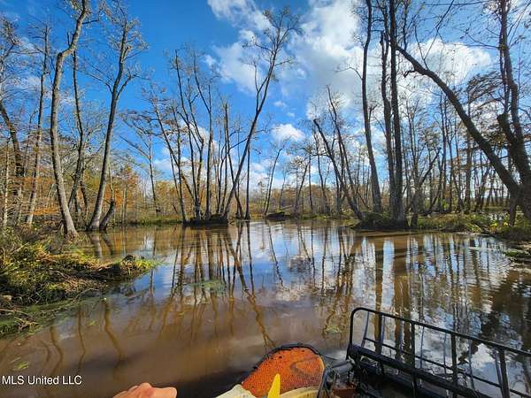 113 Acres of Recreational Land for Sale in Tchula, Mississippi