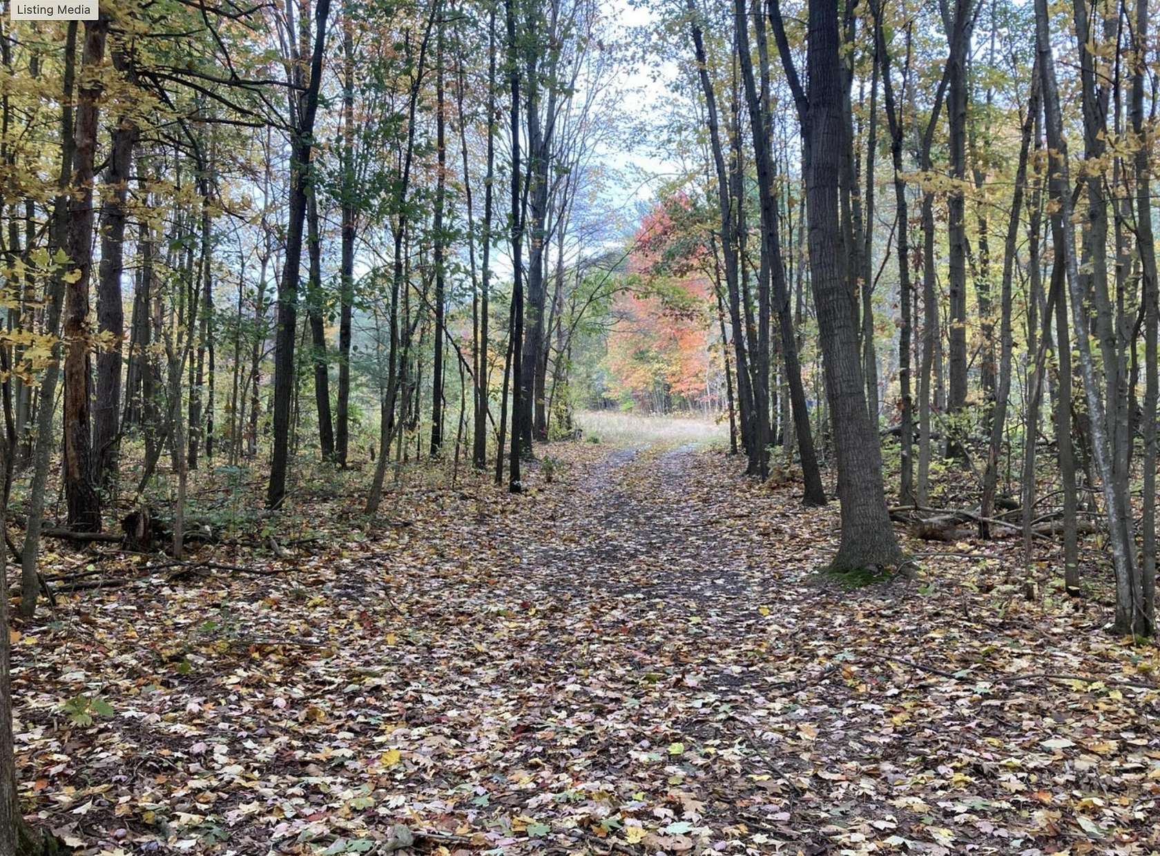 10.2 Acres of Recreational Land for Sale in Fennville, Michigan