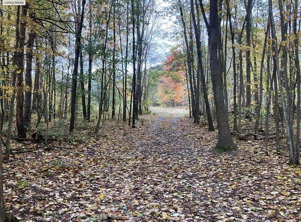 10.2 Acres of Recreational Land for Sale in Fennville, Michigan