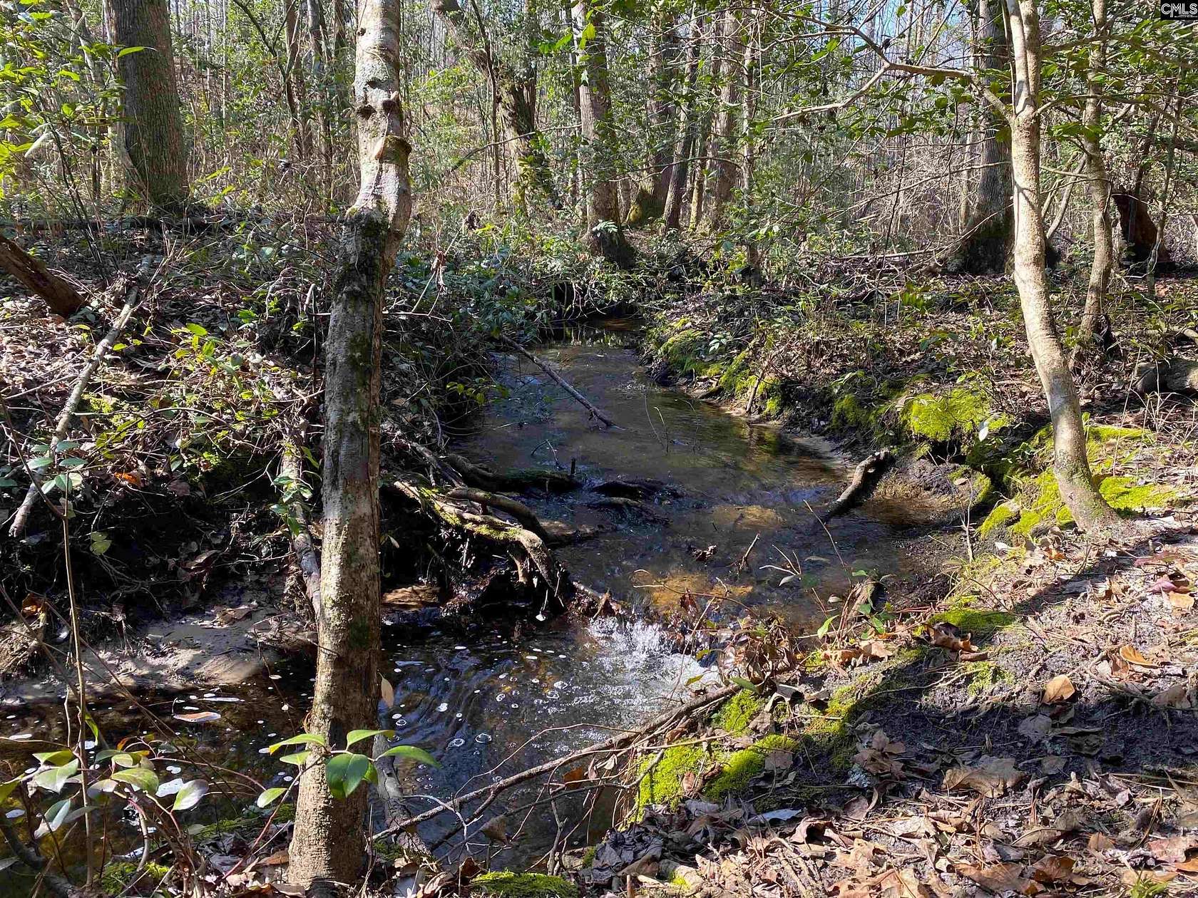 102 Acres of Recreational Land for Sale in Barnwell, South Carolina