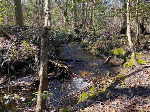 102 Acres of Recreational Land for Sale in Barnwell, South Carolina