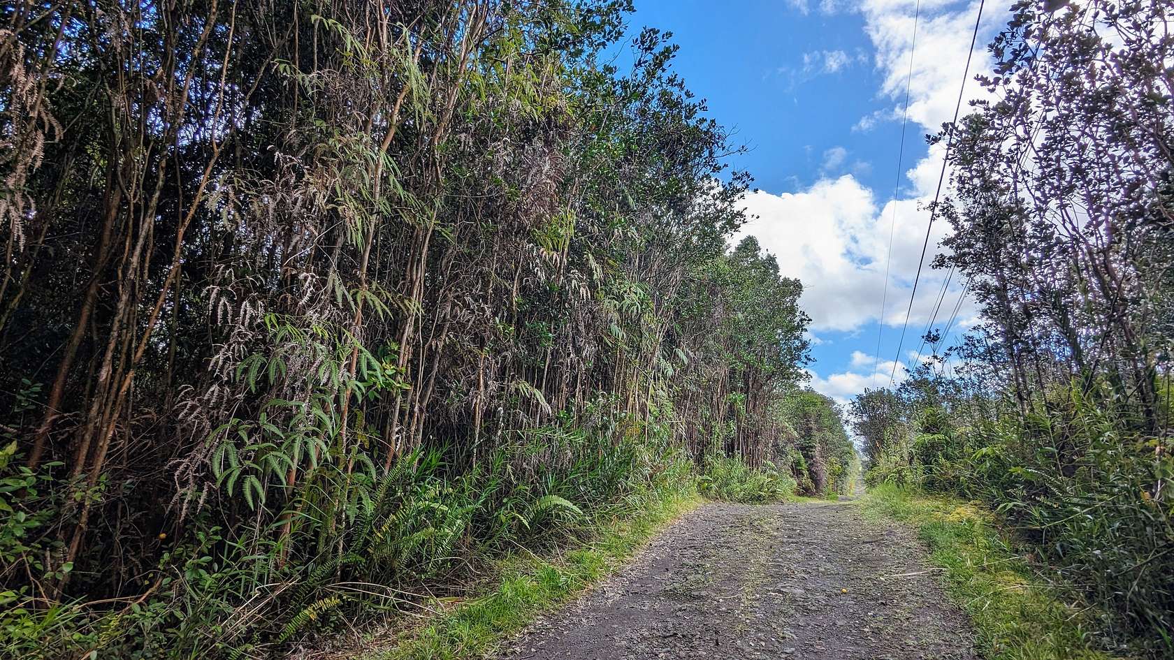 6 Acres of Land for Sale in Mountain View, Hawaii