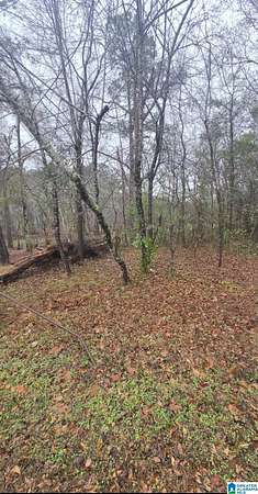 2.1 Acres of Land for Sale in Harpersville, Alabama