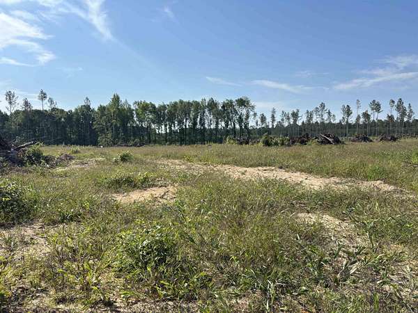 3 Acres of Land for Sale in Sheridan, Arkansas