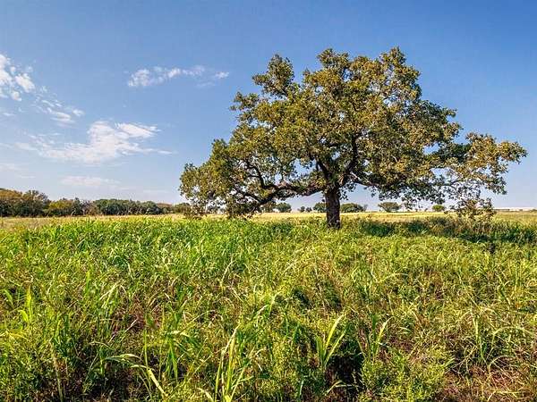 43 Acres of Recreational Land for Sale in De Leon, Texas