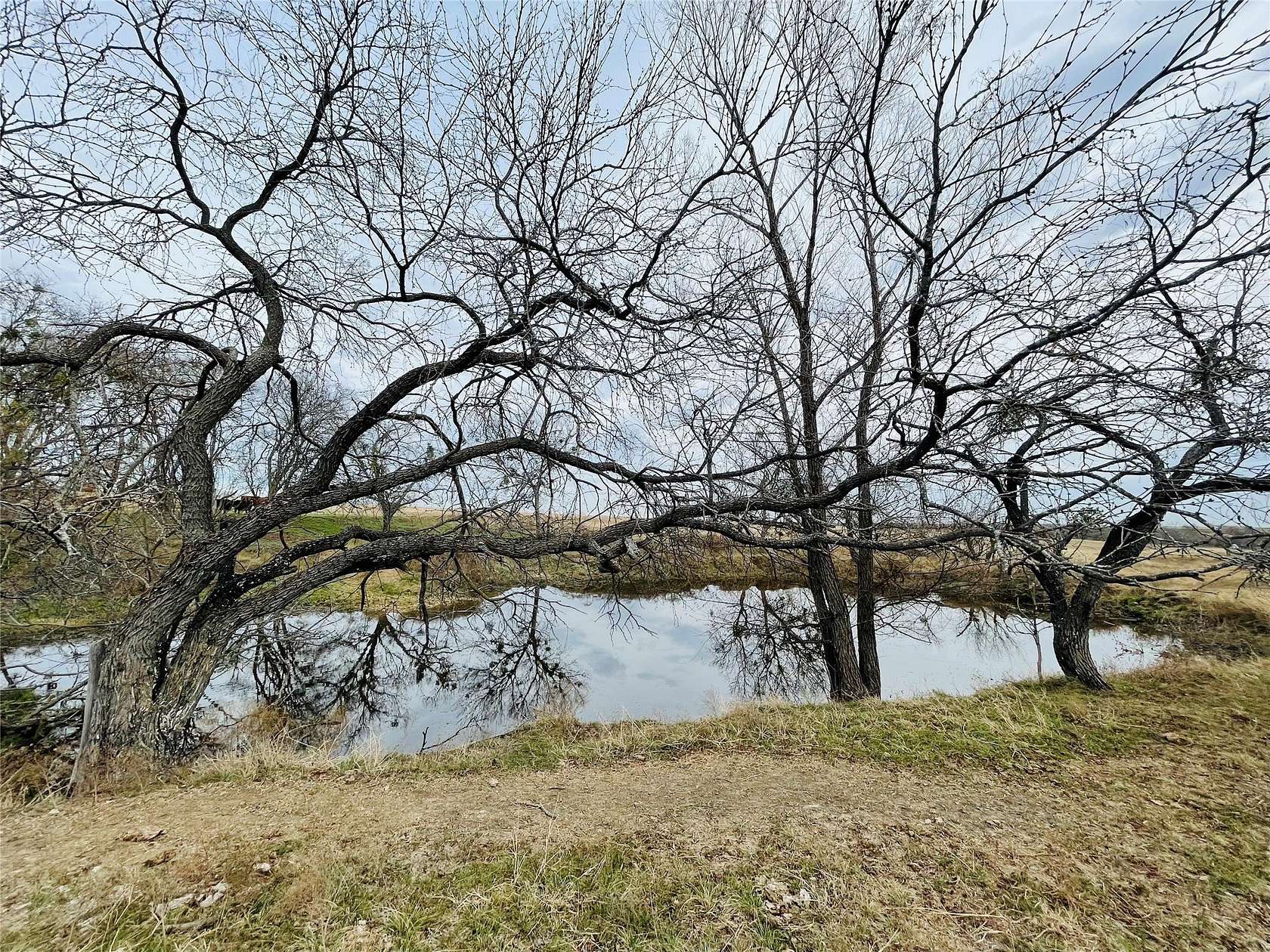 98 Acres of Agricultural & Residential Land for Sale in Dawson, Texas