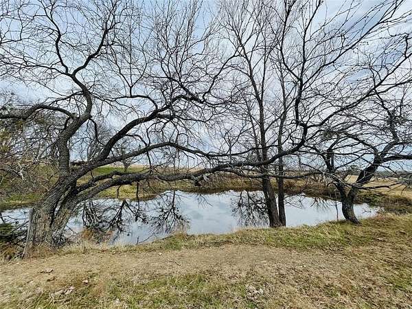 98 Acres of Agricultural Land for Sale in Dawson, Texas