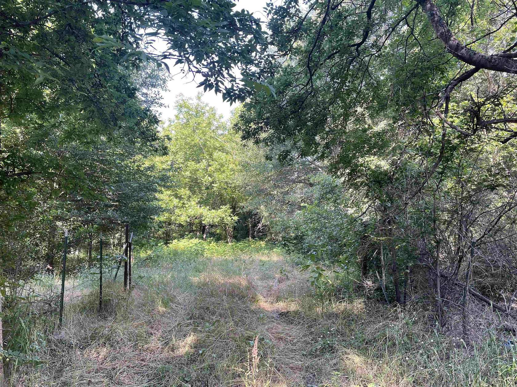 19.9 Acres of Land for Sale in Mineola, Texas
