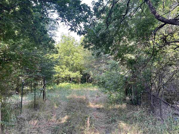 19.9 Acres of Land for Sale in Mineola, Texas