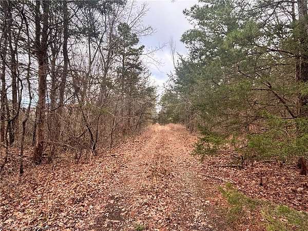11.3 Acres of Land for Sale in Hartford, Arkansas