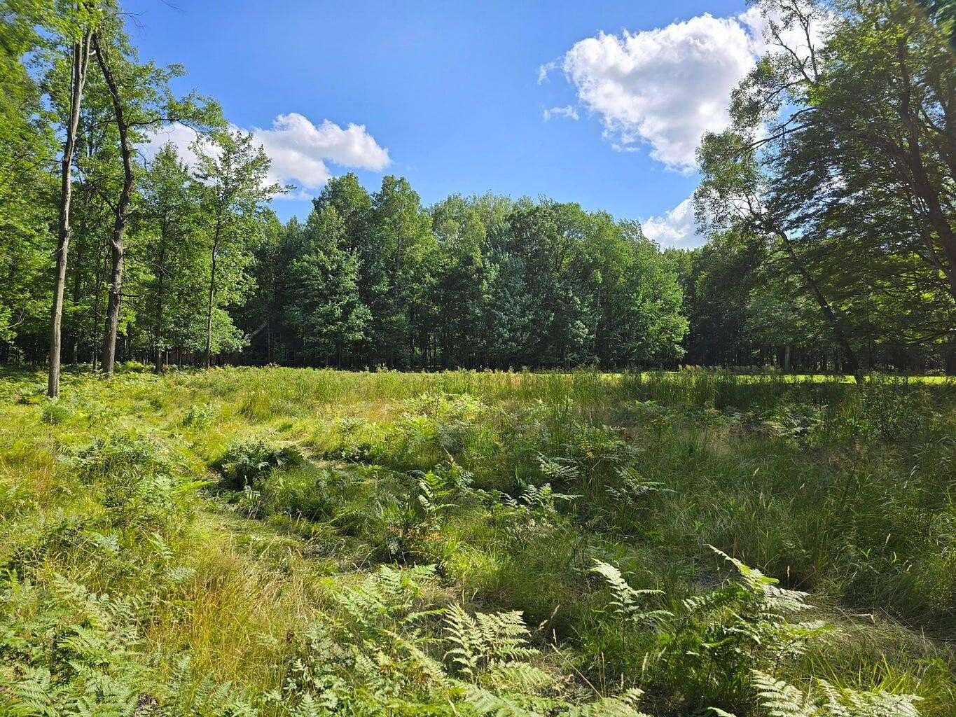 0.5 Acres of Residential Land for Sale in Stanwood, Michigan