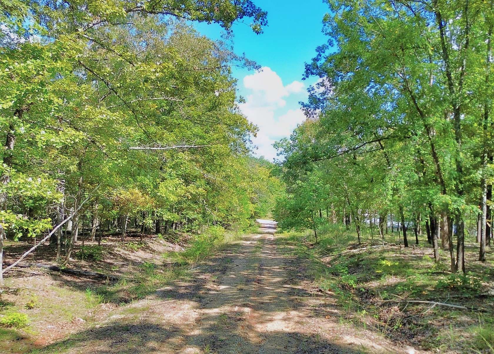 0.33 Acres of Residential Land for Sale in Horseshoe Bend, Arkansas