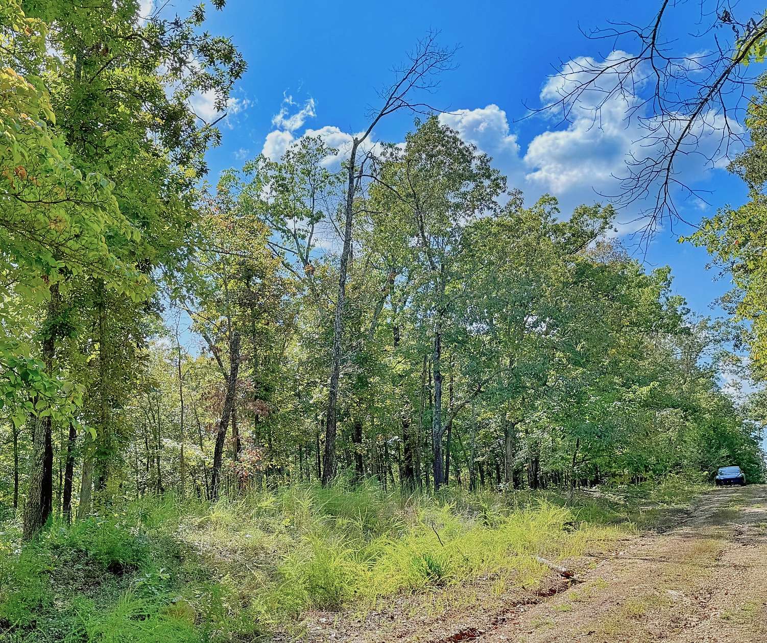 0.33 Acres of Residential Land for Sale in Horseshoe Bend, Arkansas