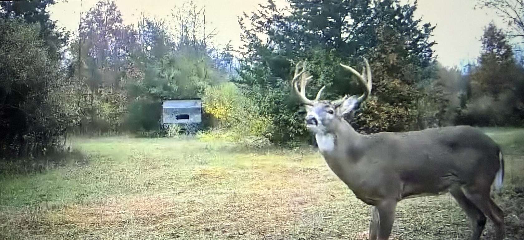 80.4 Acres of Recreational Land for Sale in Belleville, Michigan