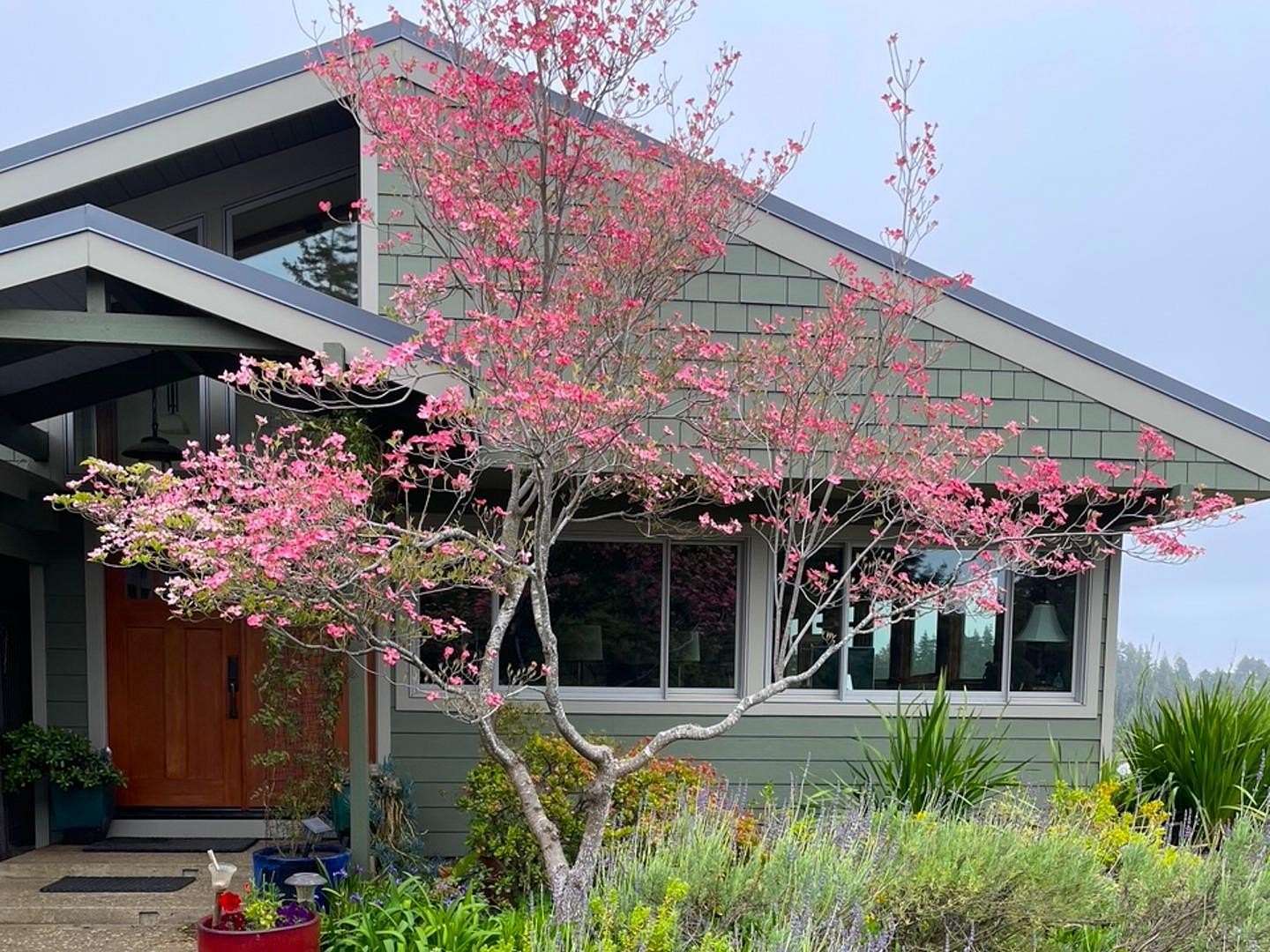 4.36 Acres of Land with Home for Sale in Corralitos, California