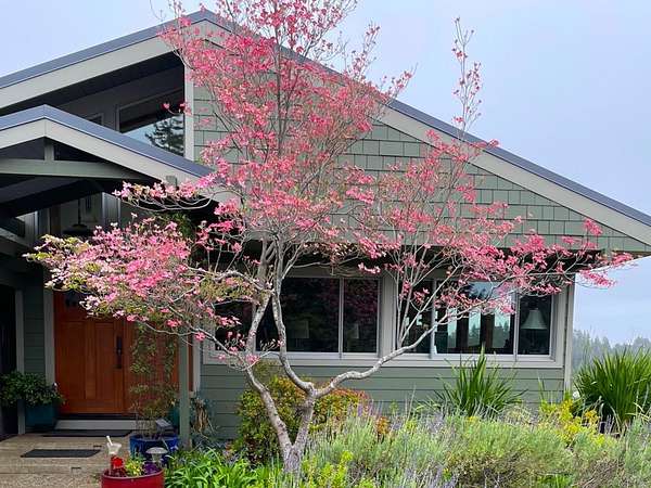 4.36 Acres of Residential Land with Home for Sale in Corralitos, California