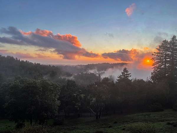 4.36 Acres of Residential Land with Home for Sale in Corralitos, California