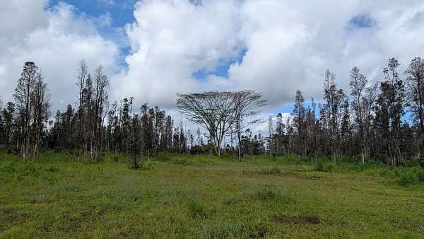 5 Acres of Residential Land for Sale in Keaau, Hawaii