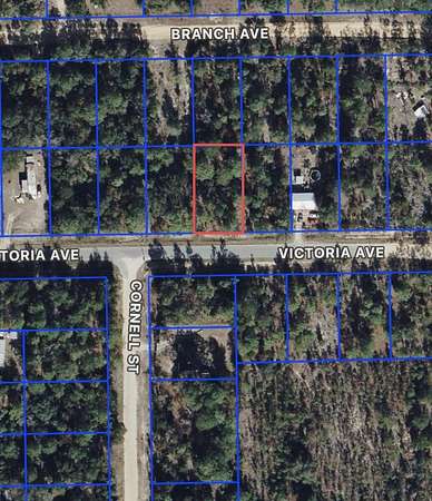 0.23 Acres of Residential Land for Sale in Interlachen, Florida