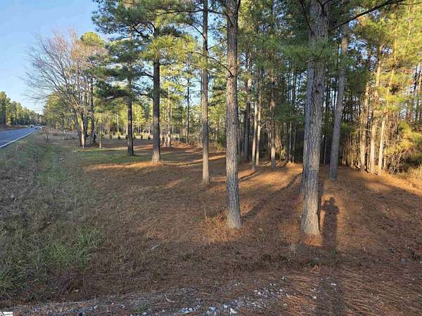 15 Acres of Land for Sale in Laurens, South Carolina