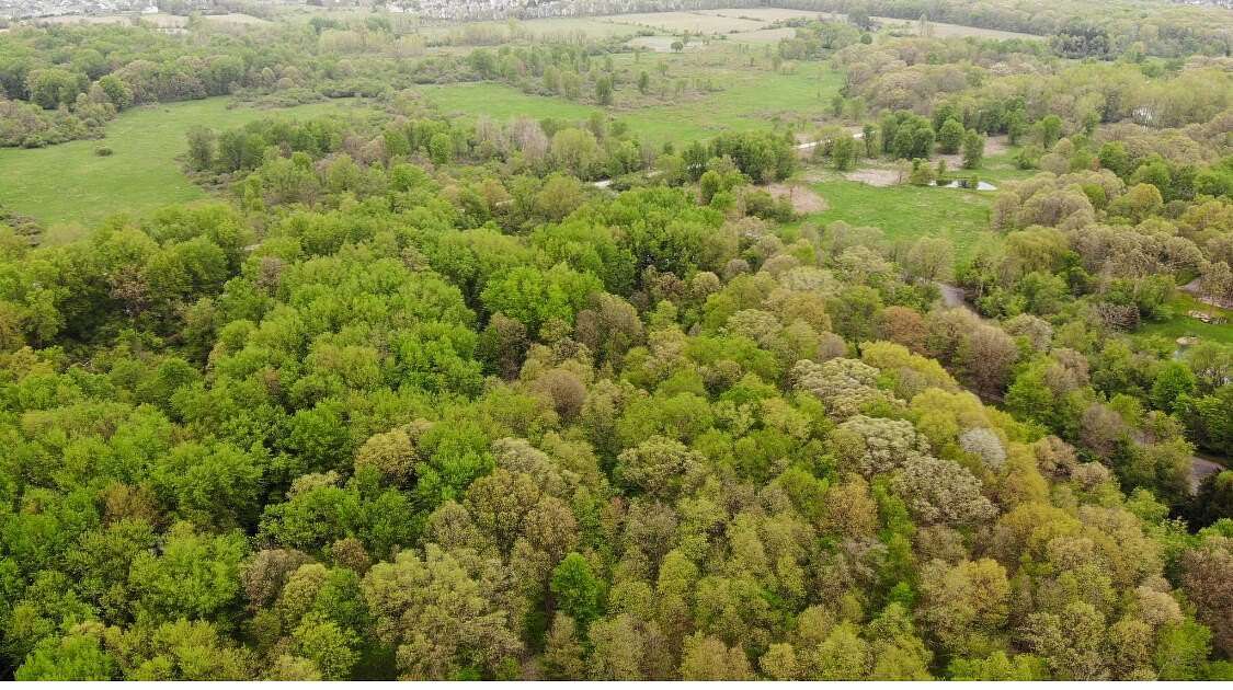 10 Acres of Residential Land for Sale in Ann Arbor, Michigan