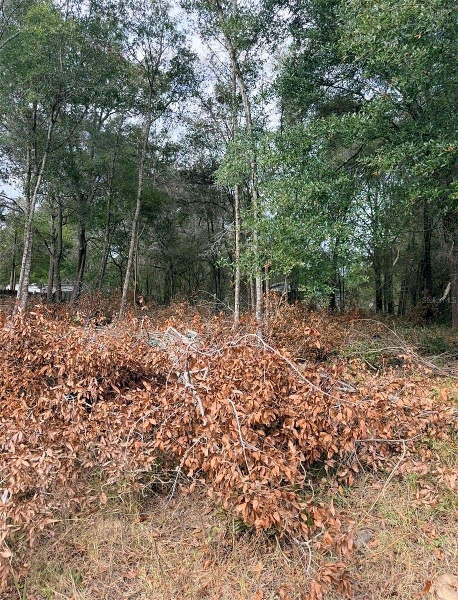 0.28 Acres of Residential Land for Sale in Interlachen, Florida