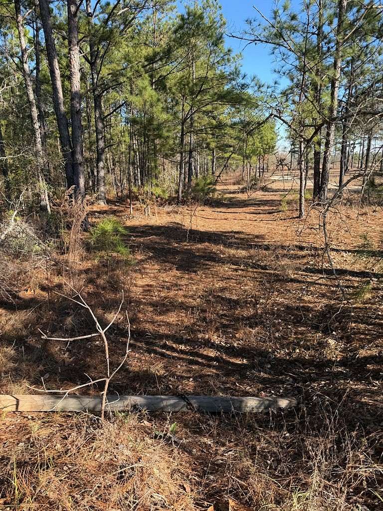 20.9 Acres of Recreational Land for Sale in Box Springs, Georgia