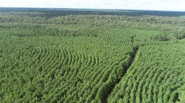 440 Acres of Recreational Land for Sale in Hemphill, Texas