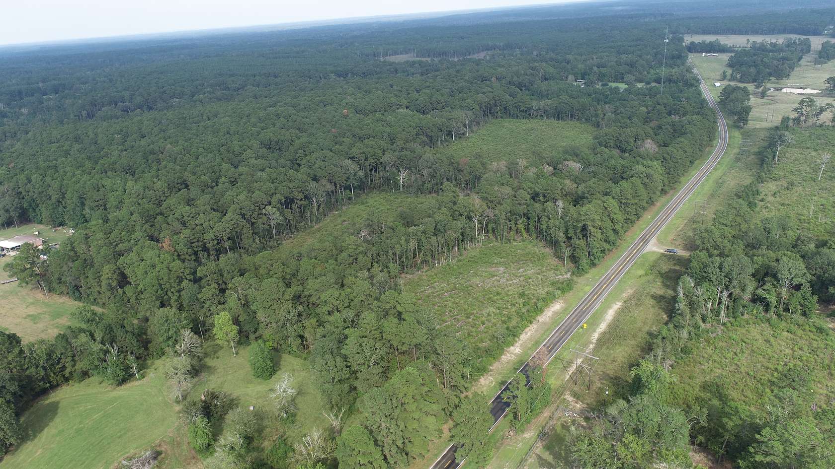 24 Acres of Recreational Land for Sale in Pineland, Texas