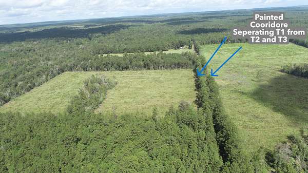 15 Acres of Recreational Land for Sale in Jasper, Texas